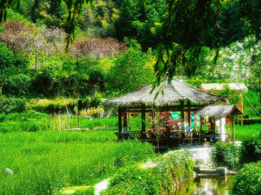 作品：茵夢攝影：高一（16）班 胡安琪.jpg