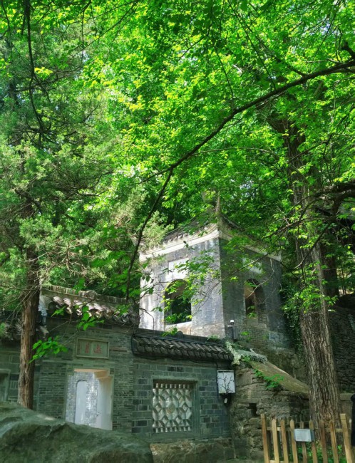 作品：綠覆蒼垣攝影：高一（12）班 解豐菀.jpg
